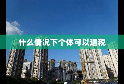 什么情况下个体可以退税