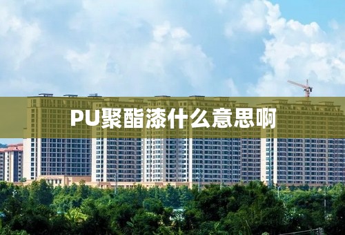 PU聚酯漆什么意思啊