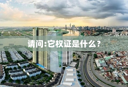 请问:它权证是什么？