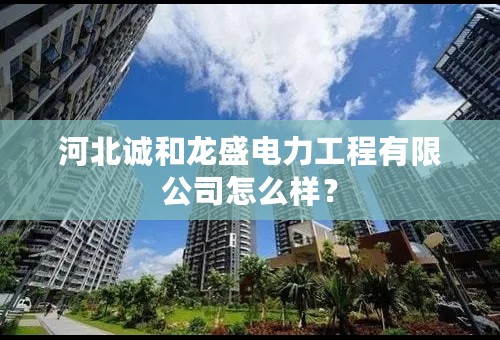 河北诚和龙盛电力工程有限公司怎么样？