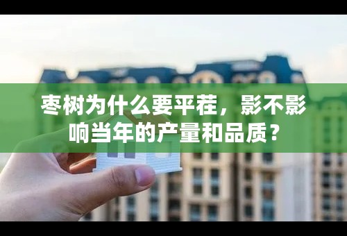 枣树为什么要平茬，影不影响当年的产量和品质？