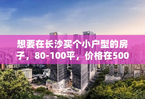 想要在长沙买个小户型的房子，80-100平，价格在5000-6000左右，要交通方便，有什么好楼盘推荐吗？