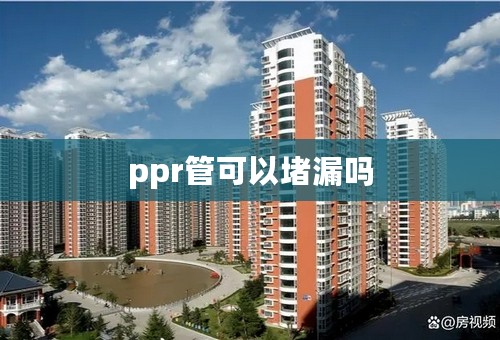 ppr管可以堵漏吗