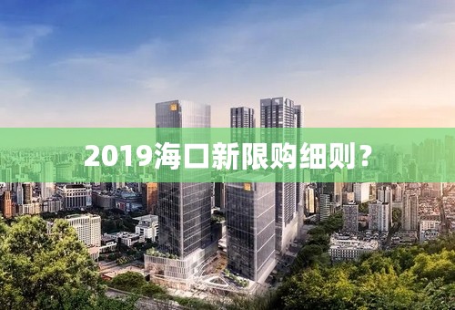 2019海口新限购细则？