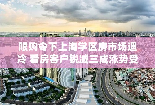 限购令下上海学区房市场遇冷 看房客户锐减三成涨势受抑