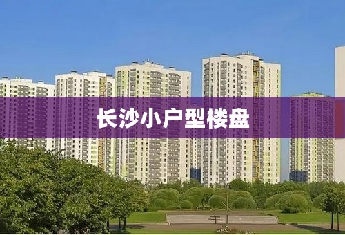 长沙小户型楼盘