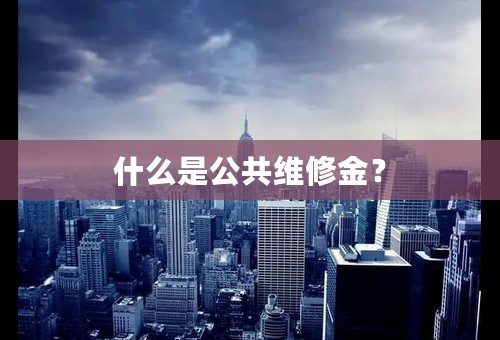 什么是公共维修金？