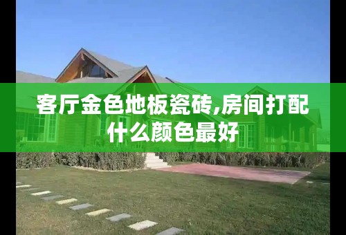 客厅金色地板瓷砖,房间打配什么颜色最好