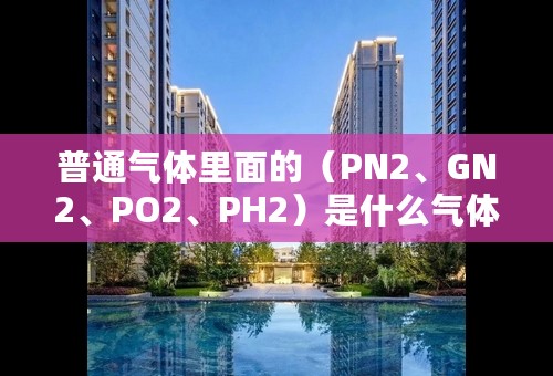 普通气体里面的（PN2、GN2、PO2、PH2）是什么气体？