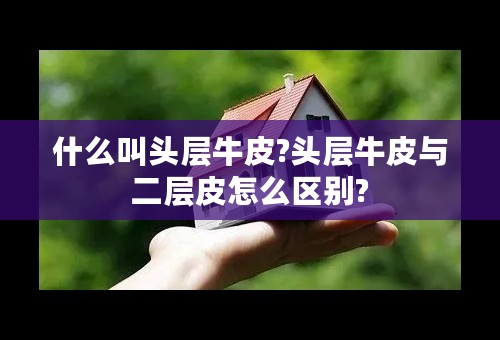 什么叫头层牛皮?头层牛皮与二层皮怎么区别?