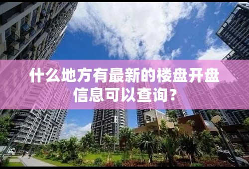 什么地方有最新的楼盘开盘信息可以查询？