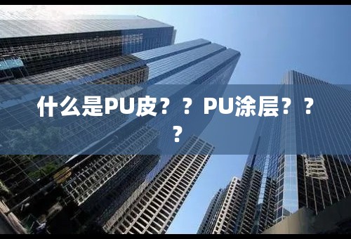 什么是PU皮？？PU涂层？？？