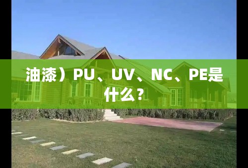 油漆）PU、UV、NC、PE是什么？