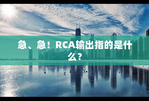 急、急！RCA输出指的是什么？