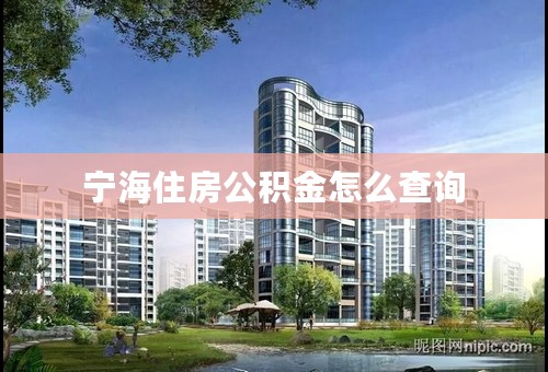 宁海住房公积金怎么查询