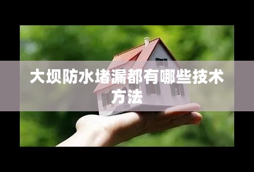 大坝防水堵漏都有哪些技术方法