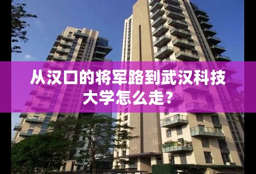 从汉口的将军路到武汉科技大学怎么走？