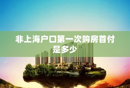 非上海户口第一次购房首付是多少