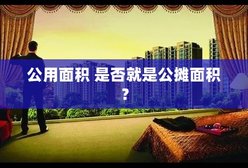 公用面积 是否就是公摊面积？