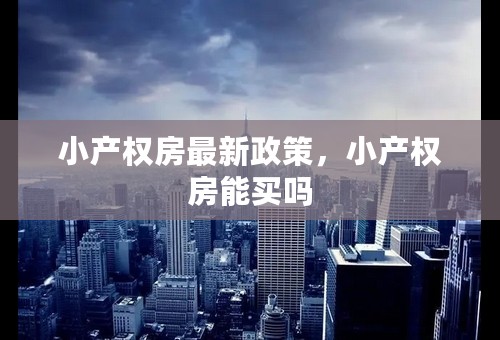 小产权房最新政策，小产权房能买吗