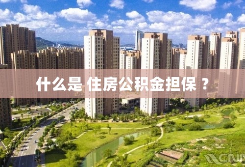 什么是 住房公积金担保 ？