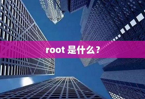 root 是什么？