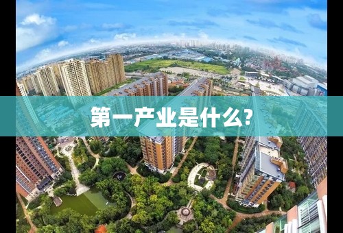 第一产业是什么?