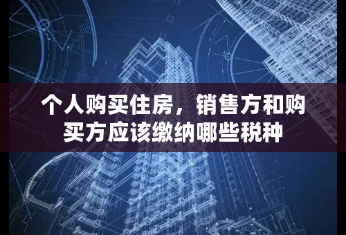 个人购买住房，销售方和购买方应该缴纳哪些税种