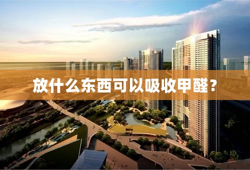 放什么东西可以吸收甲醛？