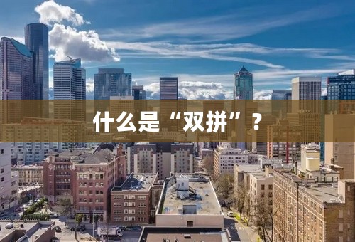 什么是“双拼”？