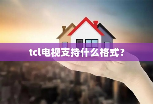 tcl电视支持什么格式？