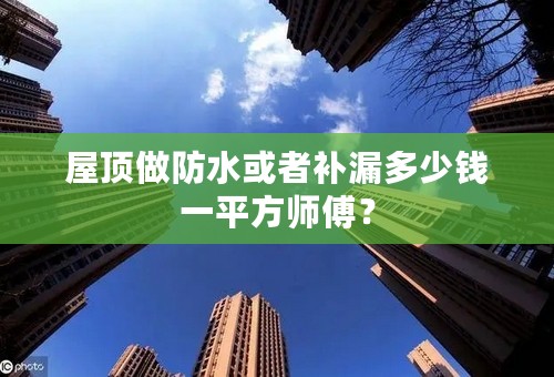 屋顶做防水或者补漏多少钱一平方师傅？