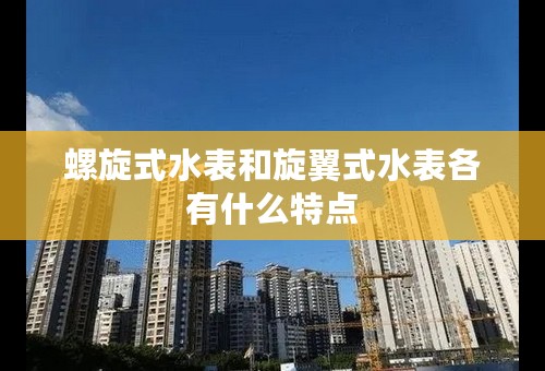 螺旋式水表和旋翼式水表各有什么特点