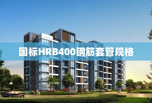 国标HRB400钢筋套管规格