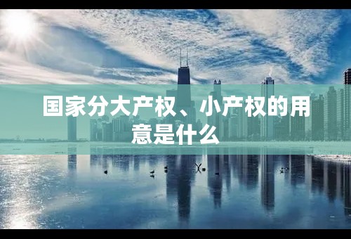 国家分大产权、小产权的用意是什么