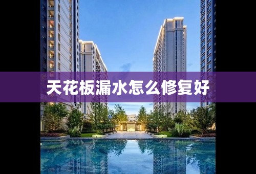 天花板漏水怎么修复好