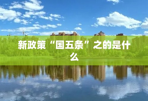 新政策“国五条”之的是什么