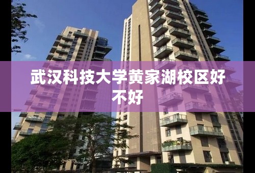 武汉科技大学黄家湖校区好不好