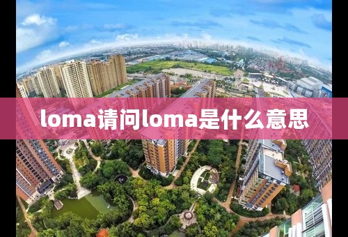 loma请问loma是什么意思