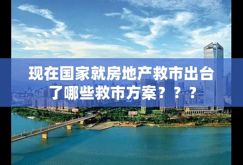 现在国家就房地产救市出台了哪些救市方案？？？