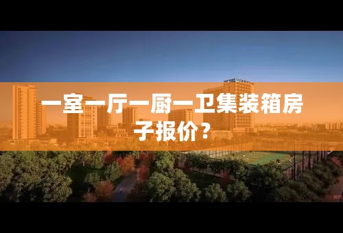 一室一厅一厨一卫集装箱房子报价？