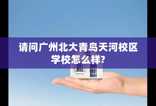 请问广州北大青鸟天河校区学校怎么样?