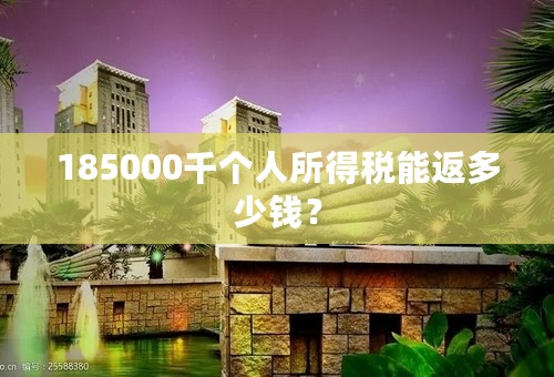 185000千个人所得税能返多少钱？