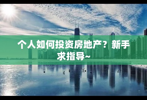 个人如何投资房地产？新手求指导~