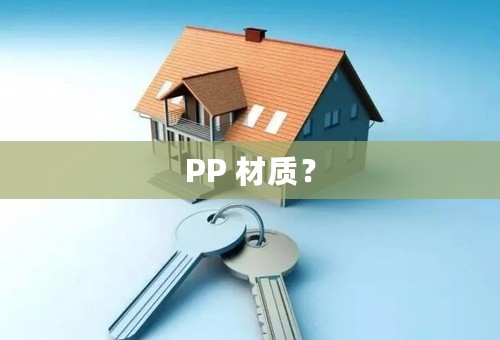 PP 材质？