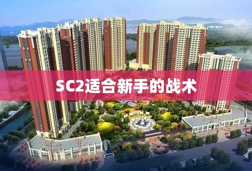 SC2适合新手的战术