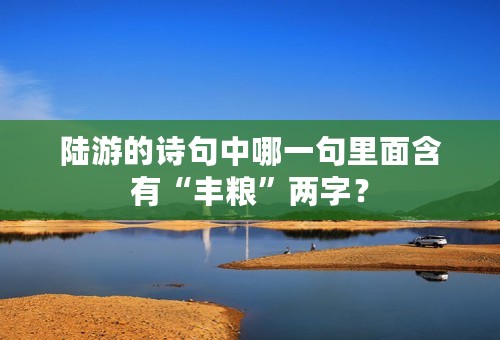 陆游的诗句中哪一句里面含有“丰粮”两字？