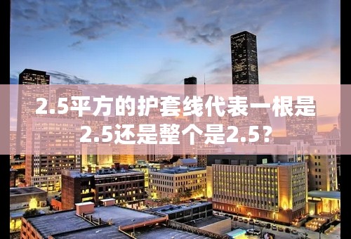 2.5平方的护套线代表一根是2.5还是整个是2.5？