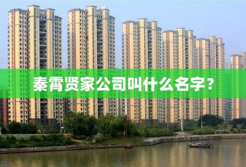 秦霄贤家公司叫什么名字？