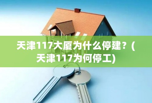 天津117大厦为什么停建？(天津117为何停工)